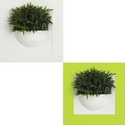 Quadro Vegetal - Green Gallery Single - Elho